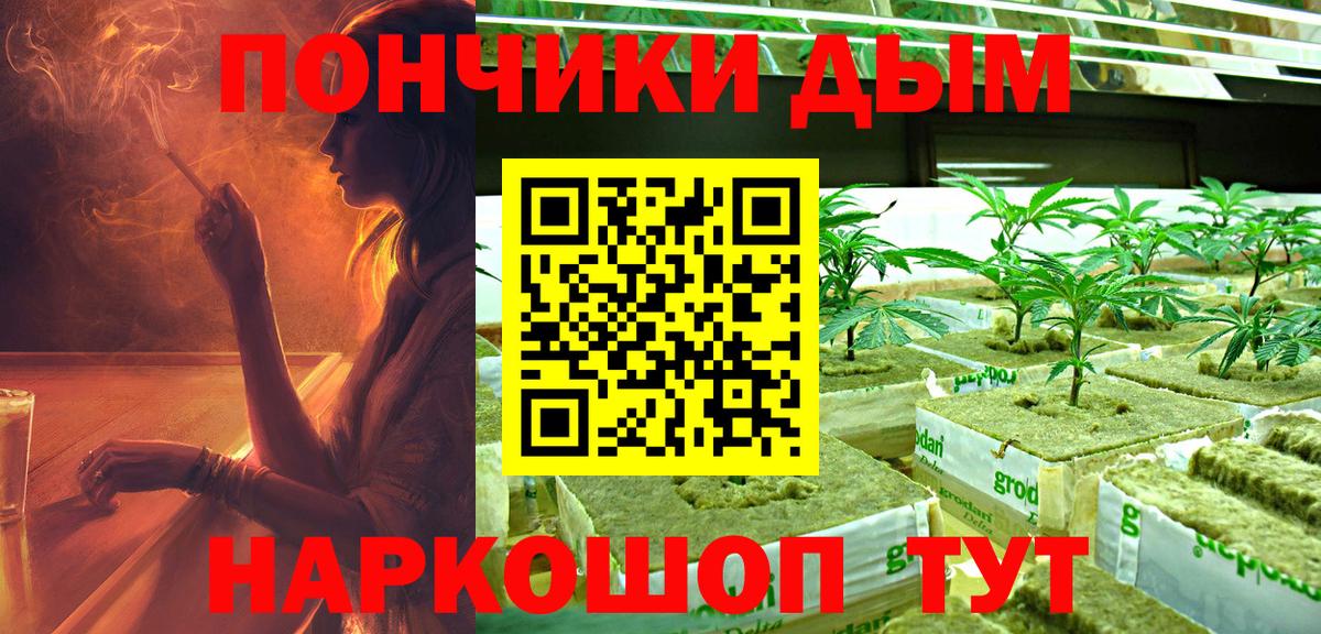 Бошки Шишки конопля Белово